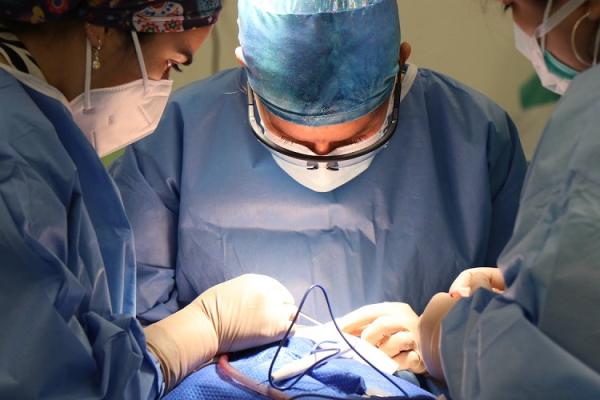 Xenotransplantation Research Receives Major Funding